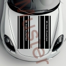 Racing stripes bumper sticker